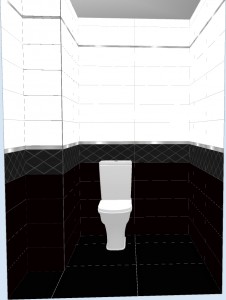 Черно белый туалет дизайн (58 фото)