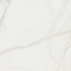Pure Marble Gold керамогранит 600х600 матовый 11 Pure Marble Gold керамогранит 600х600 матовый 11