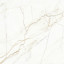 Europa Gold l керамогранит 600х600 матовый карвинг 6